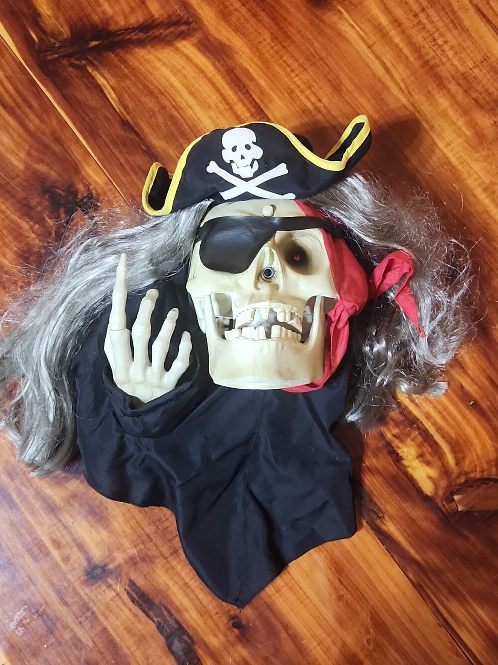 VTG Gemmy Pirate Skull Skeleton Animated Halloween Decor Door Wall Hanger Talks